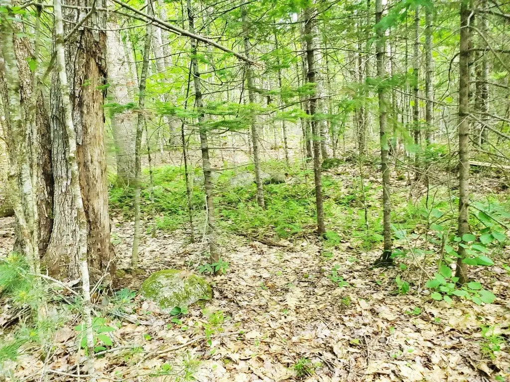 501 Pullen Woods Road Palermo ME 04354