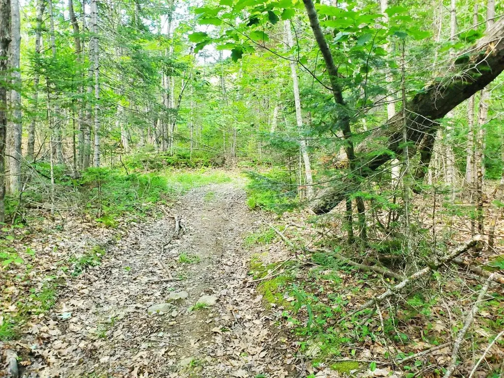 501 Pullen Woods Road Palermo ME 04354