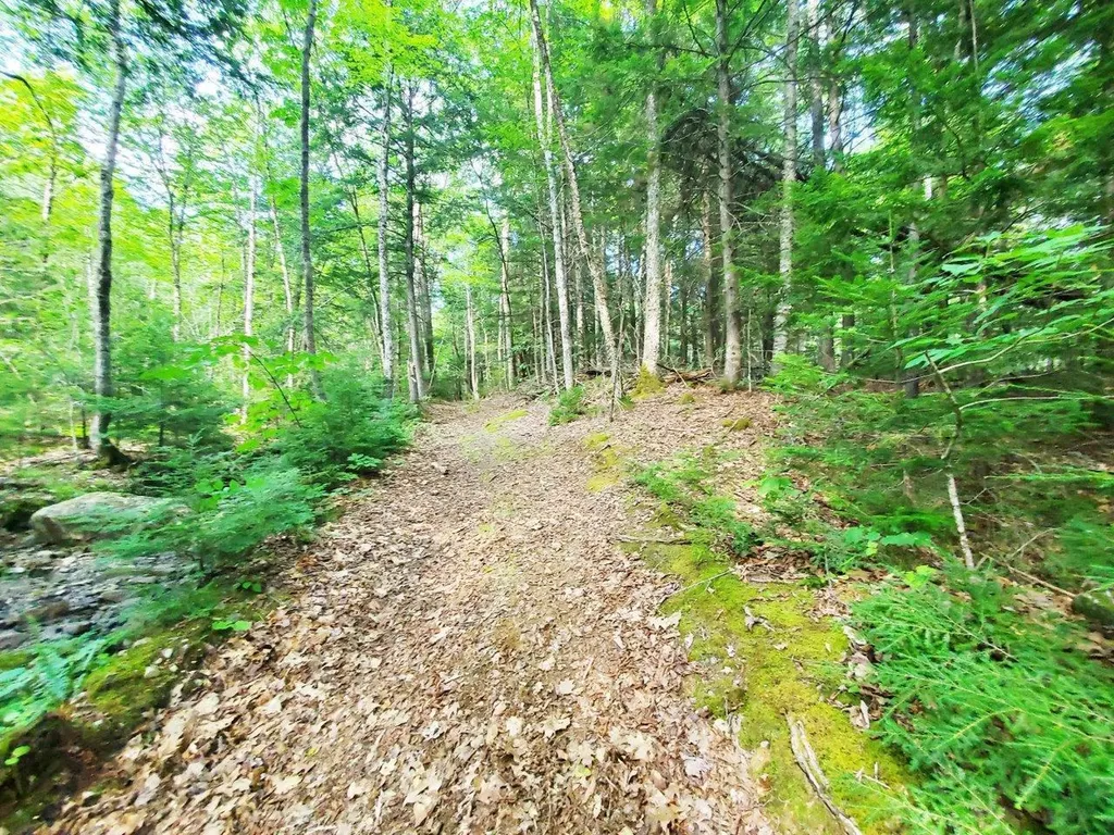 501 Pullen Woods Road Palermo ME 04354