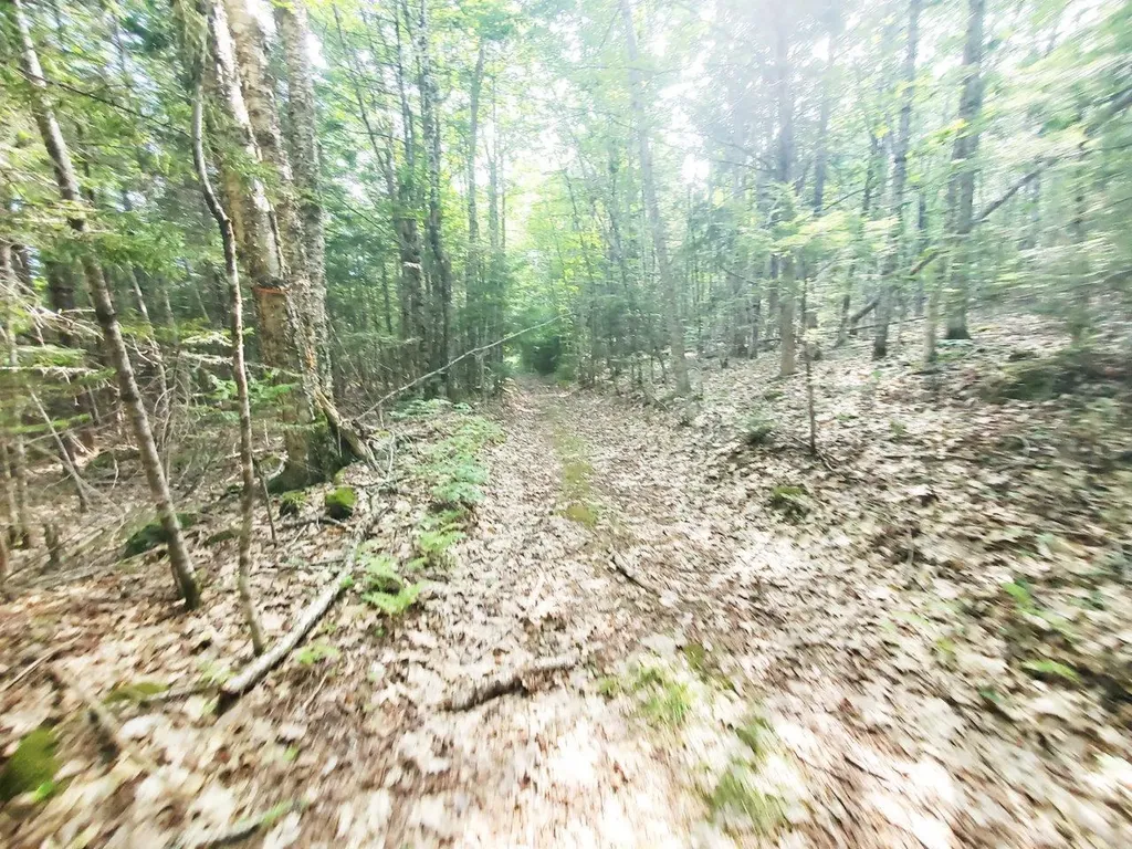 501 Pullen Woods Road Palermo ME 04354