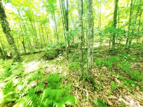 501 Pullen Woods Road Palermo ME 04354