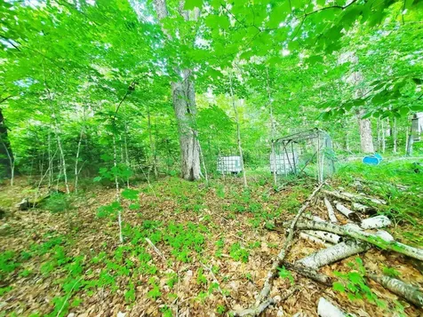501 Pullen Woods Road Palermo ME 04354