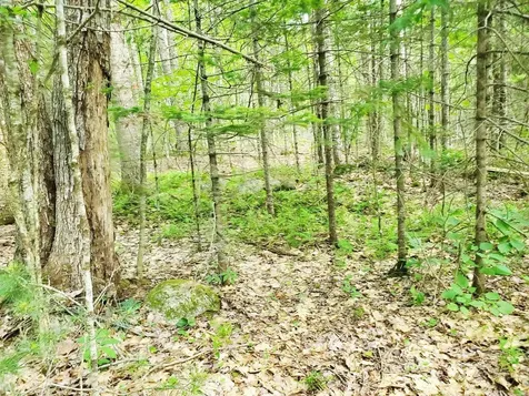 501 Pullen Woods Road Palermo ME 04354