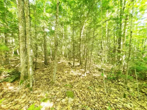 501 Pullen Woods Road Palermo ME 04354