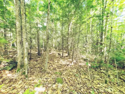 501 Pullen Woods Road Palermo ME 04354