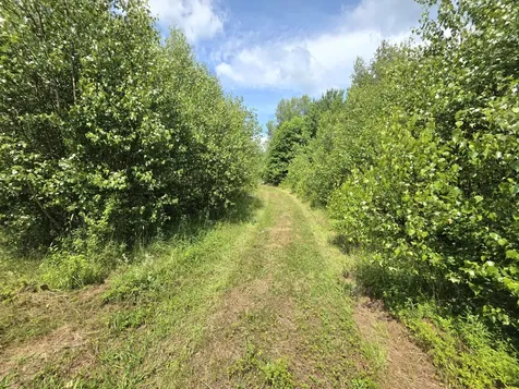 1557 Lyford Road Orneville Twp ME 04463