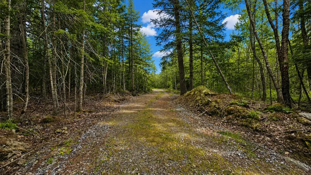 Lot 42 Colby Road Westport Island ME 04578