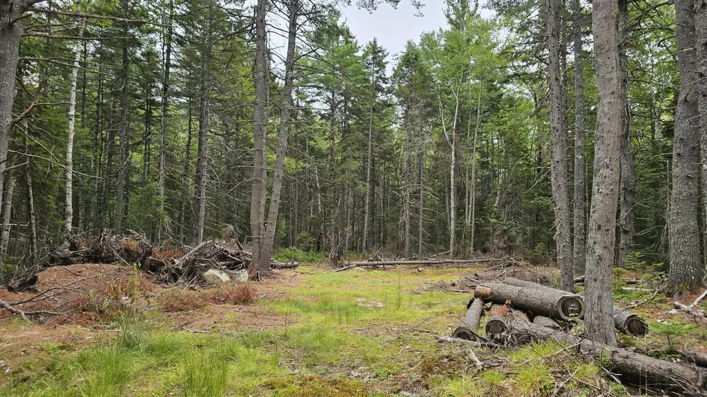 Lot 42 Colby Road Westport Island ME 04578