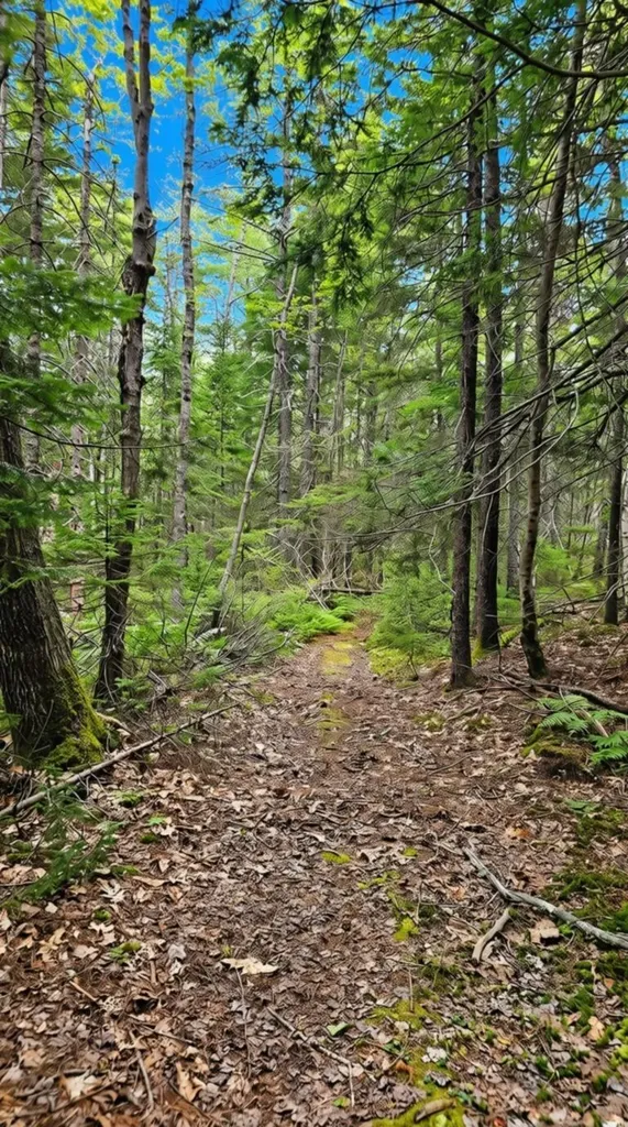 Lot 42 Colby Road Westport Island ME 04578