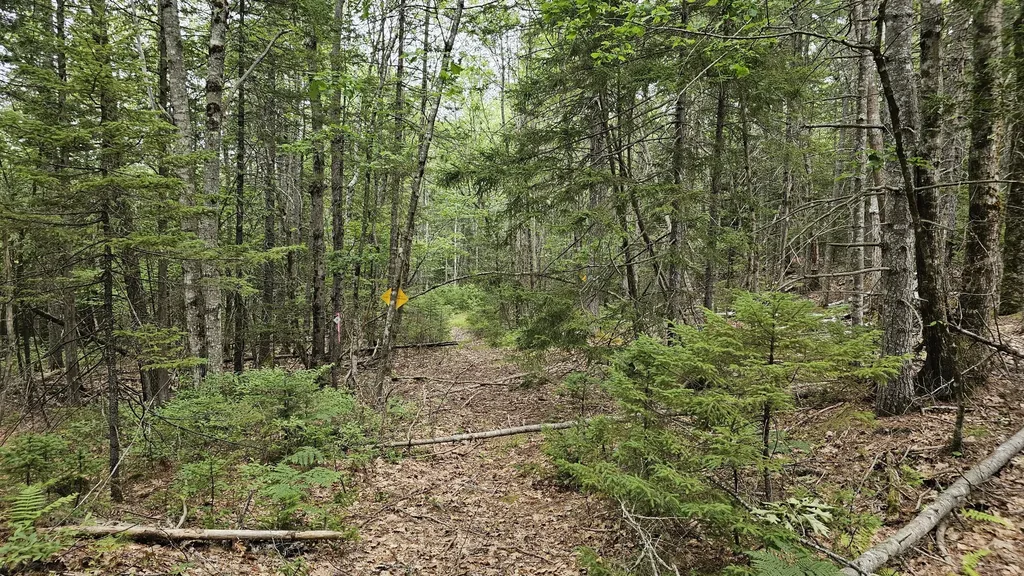 Lot 42 Colby Road Westport Island ME 04578