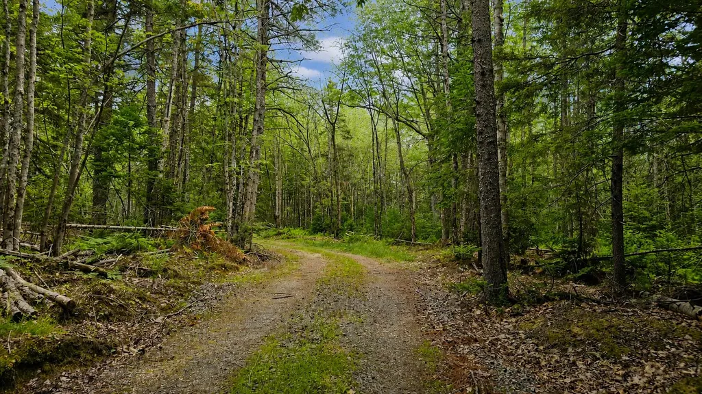 Lot 42 Colby Road Westport Island ME 04578