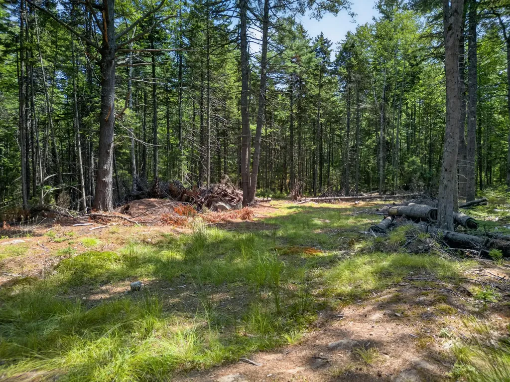 Lot 42 Colby Road Westport Island ME 04578