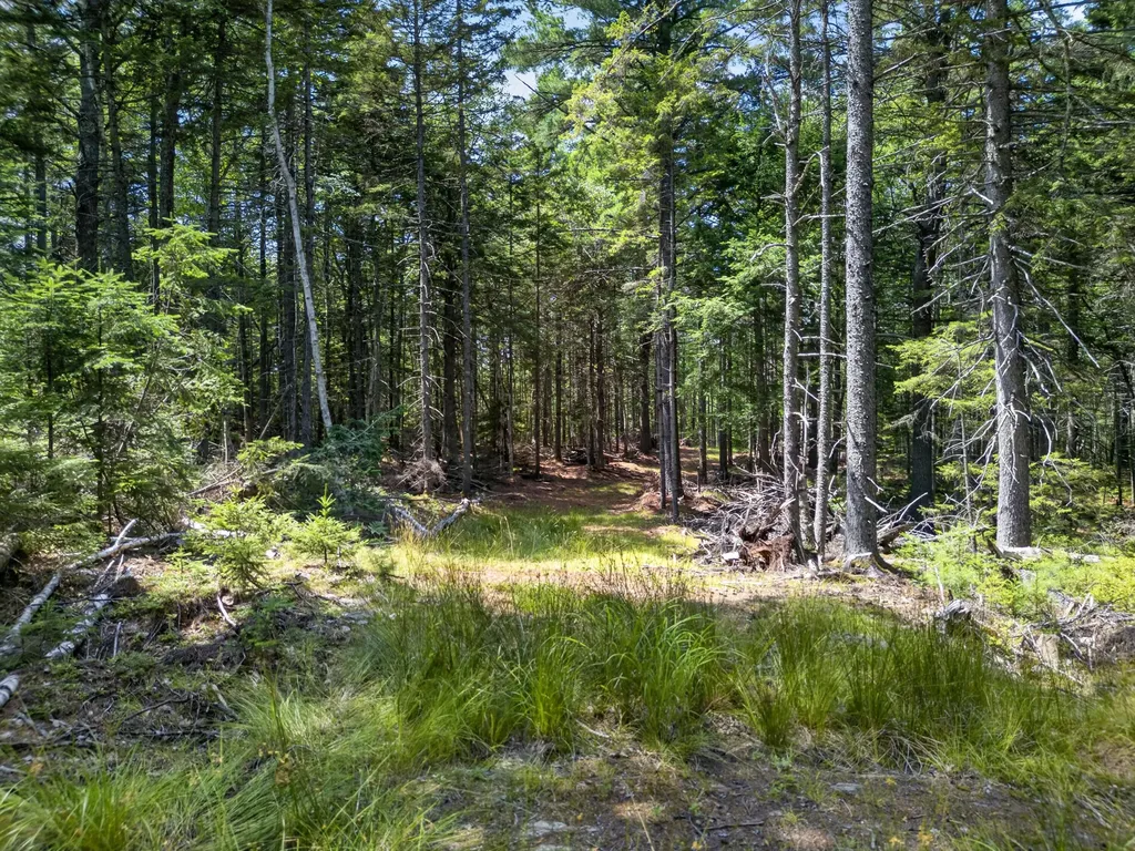 Lot 42 Colby Road Westport Island ME 04578