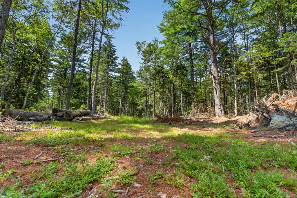 Lot 42 Colby Road Westport Island ME 04578