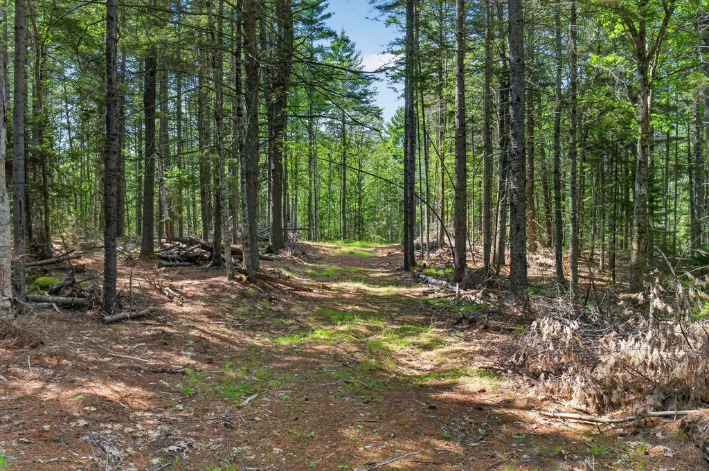 Lot 42 Colby Road Westport Island ME 04578