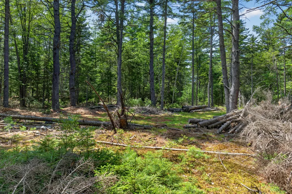 Lot 42 Colby Road Westport Island ME 04578