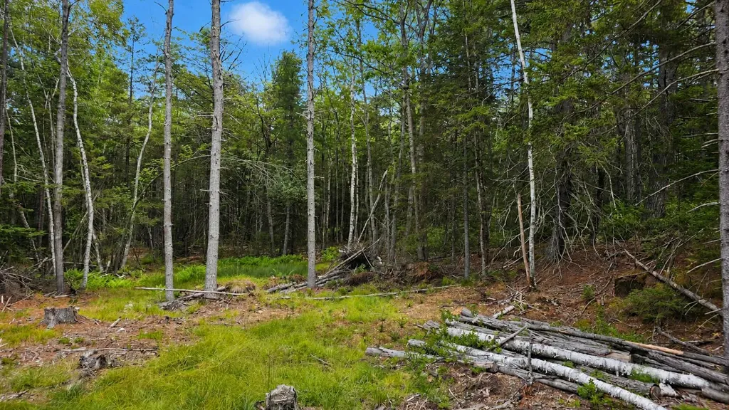 Lot 42 Colby Road Westport Island ME 04578