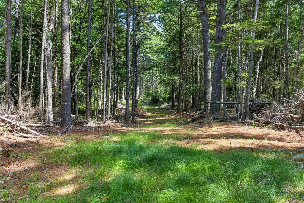 Lot 42 Colby Road Westport Island ME 04578