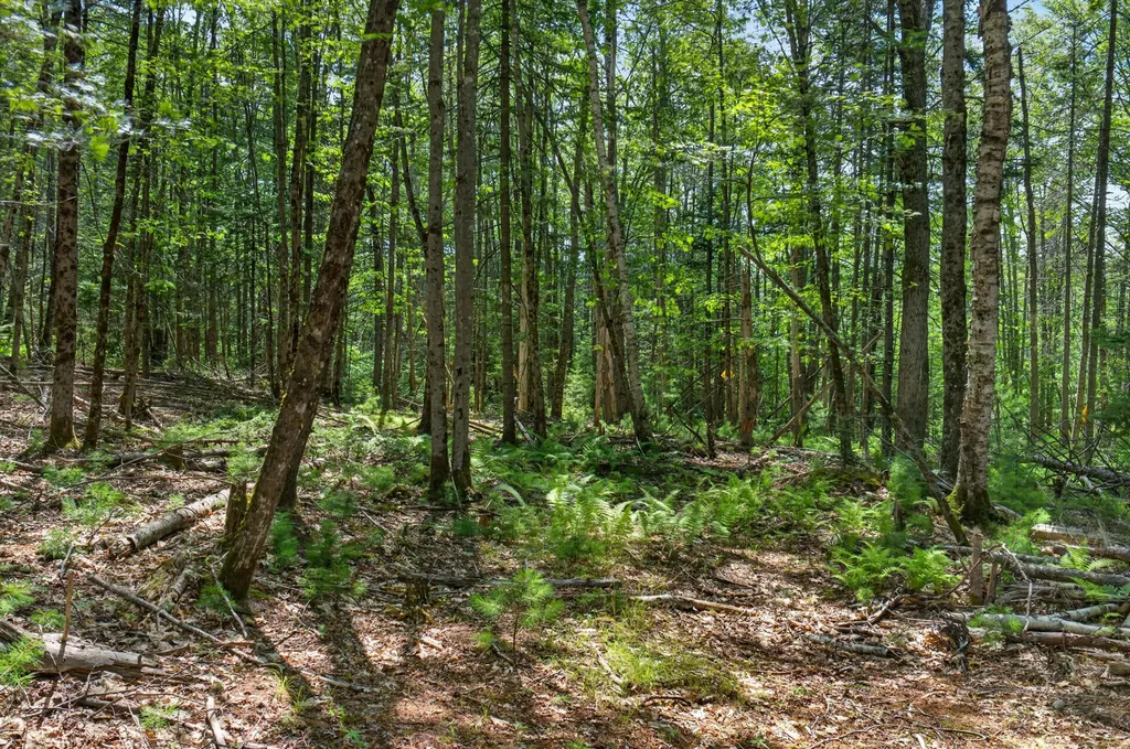 Lot 42 Colby Road Westport Island ME 04578