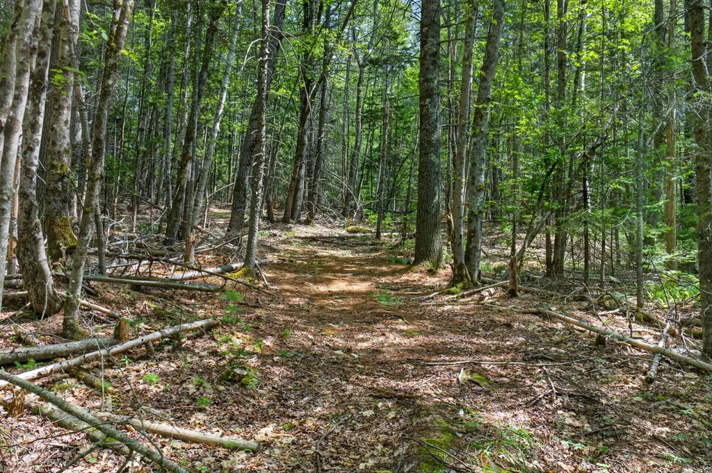 Lot 42 Colby Road Westport Island ME 04578