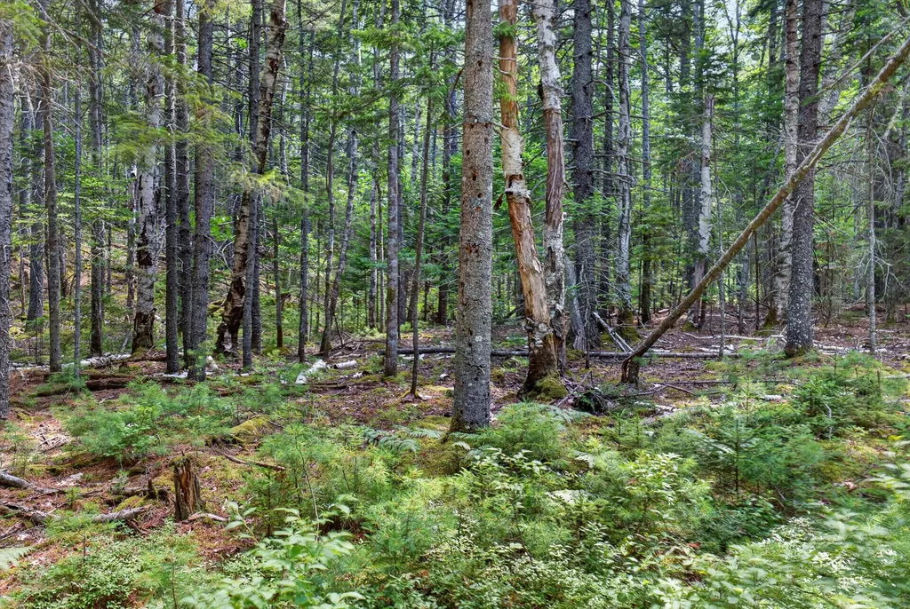 Lot 42 Colby Road Westport Island ME 04578