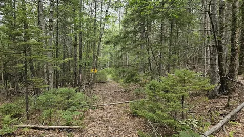 Lot 42 Colby Road Westport Island ME 04578