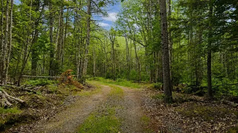 Lot 42 Colby Road Westport Island ME 04578