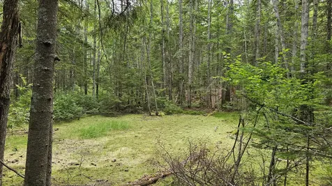 Lot 42 Colby Road Westport Island ME 04578