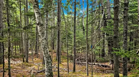 Lot 42 Colby Road Westport Island ME 04578