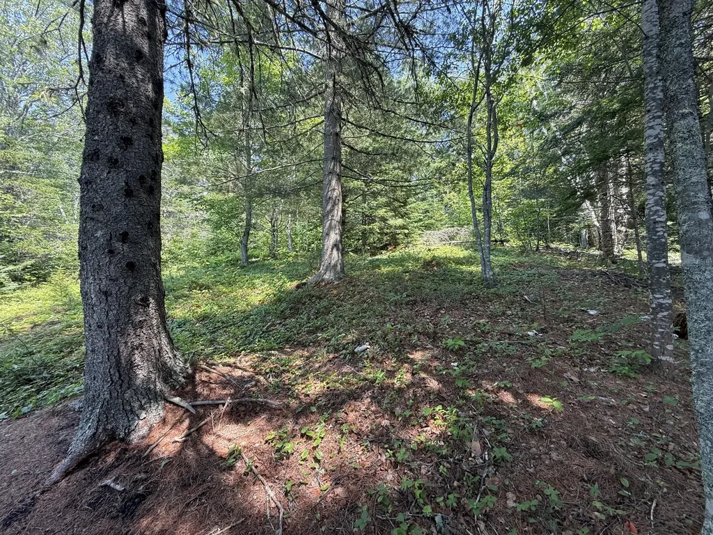 Lots 1,2,3 Tideway Lane Lubec ME 04652