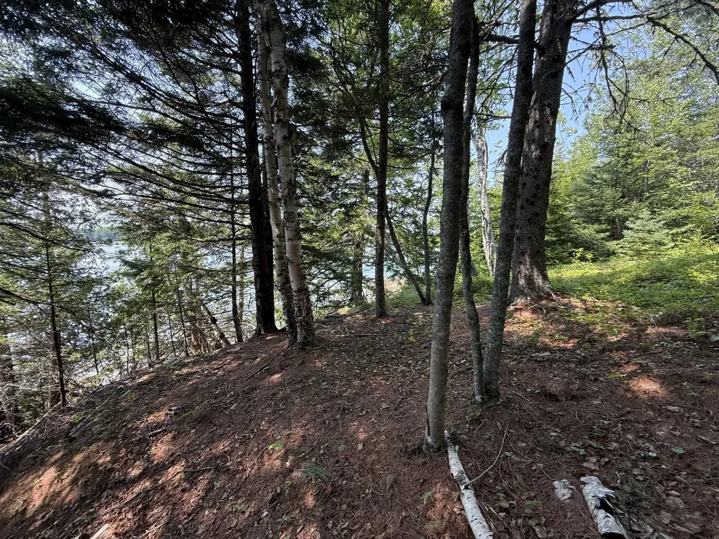 Lots 1,2,3 Tideway Lane Lubec ME 04652