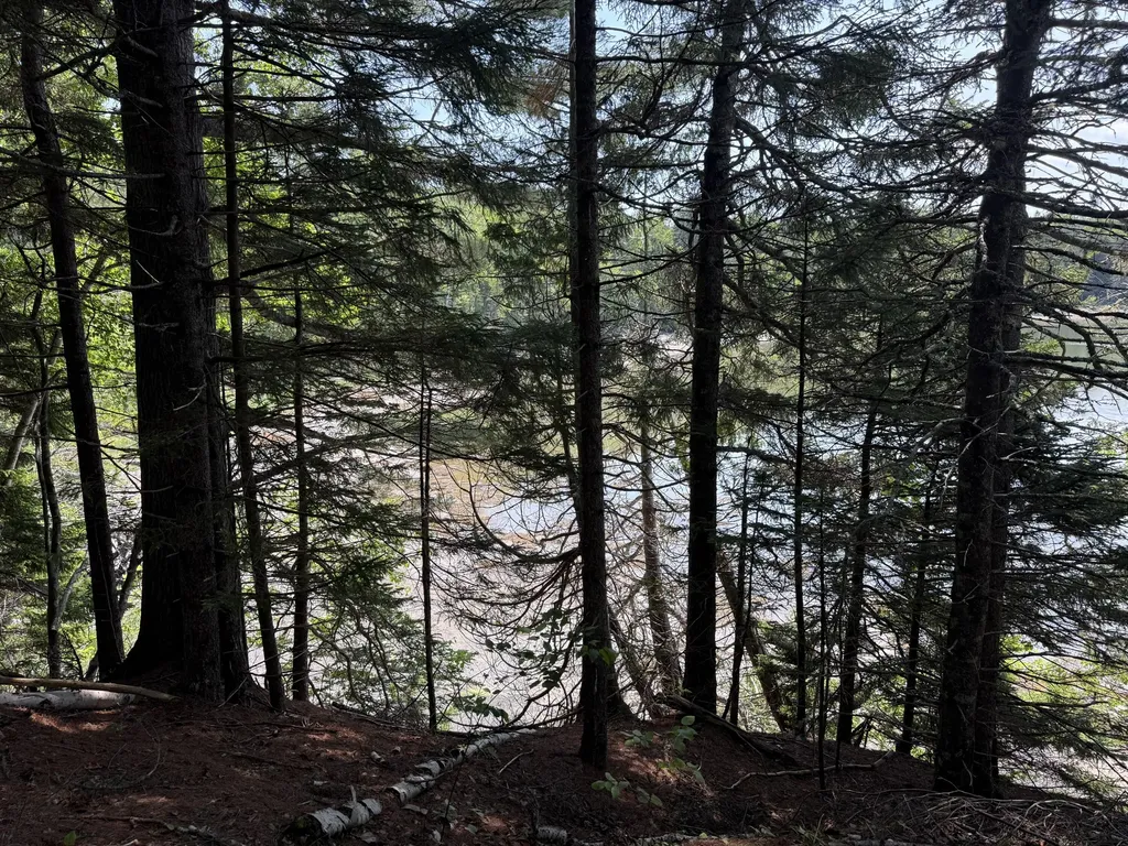 Lots 1,2,3 Tideway Lane Lubec ME 04652