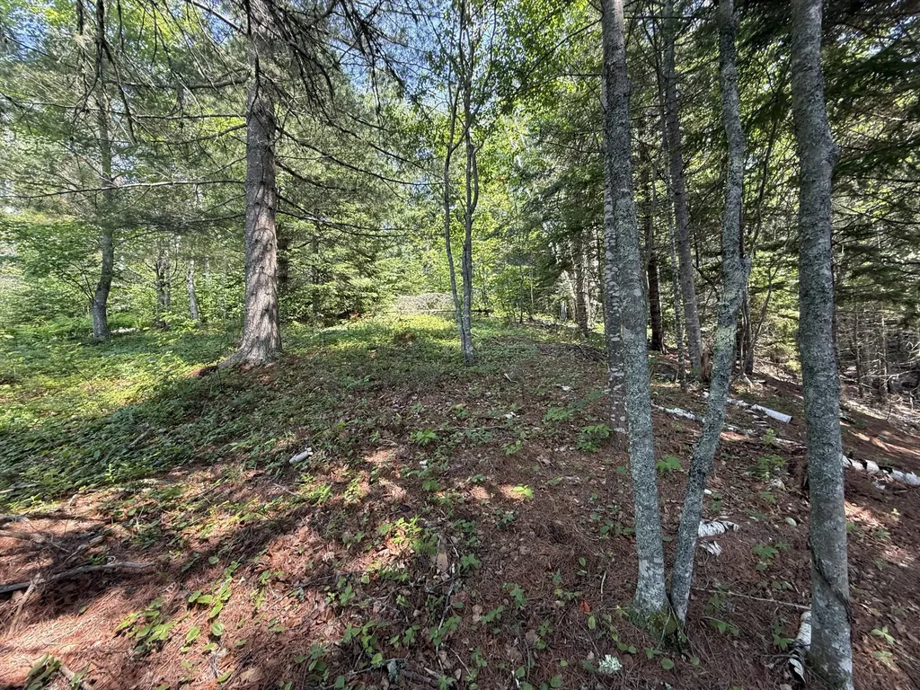 Lots 1,2,3 Tideway Lane Lubec ME 04652