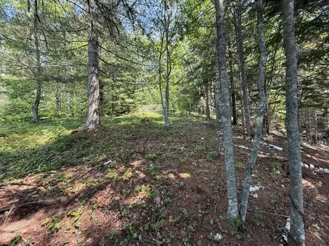 Lots 1,2,3 Tideway Lane Lubec ME 04652