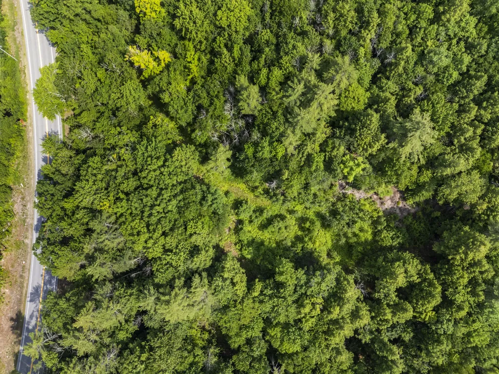 Lot 3 Taylor Brook Drive Poland ME 04274