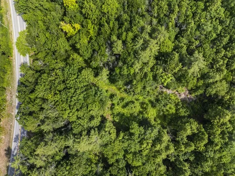 Lot 3 Taylor Brook Drive Poland ME 04274