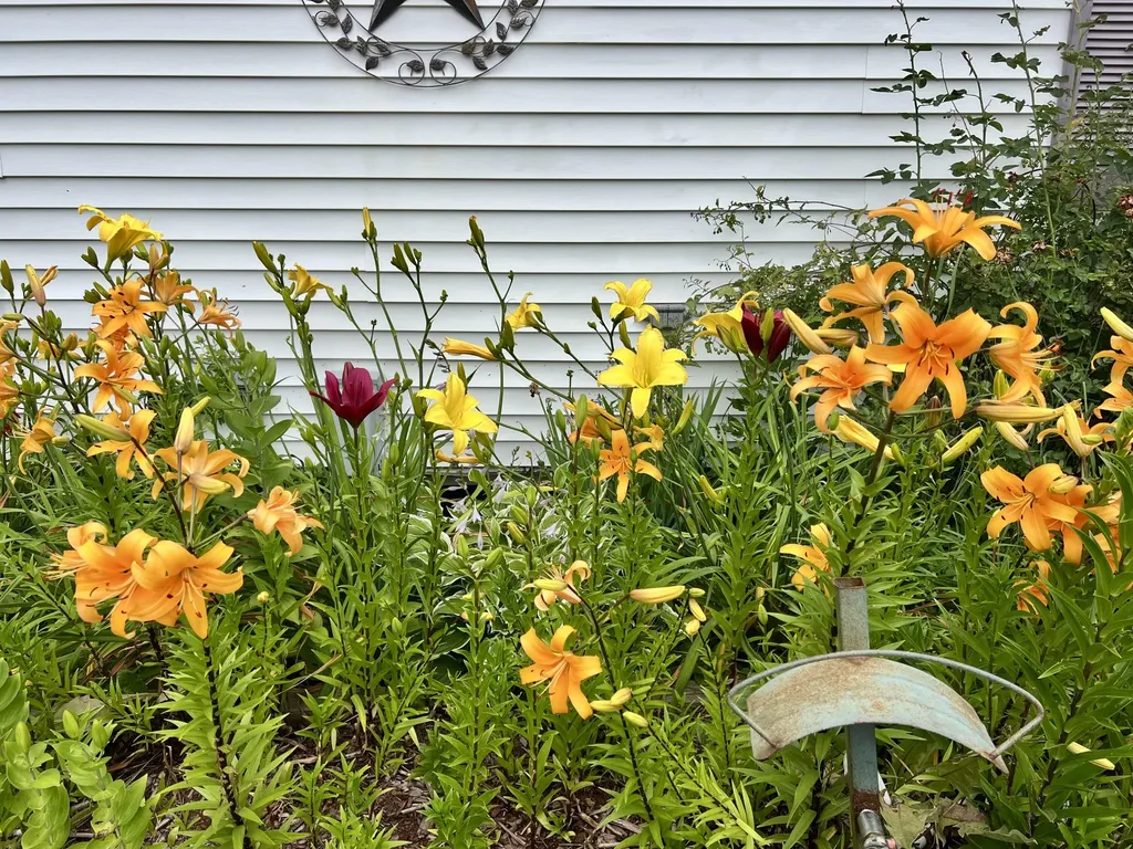 60 Us-1 Verona Island ME 04416