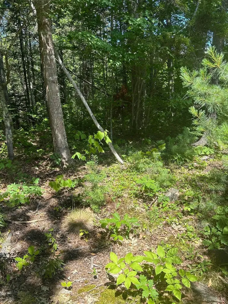 7 Shackleton's Way Boothbay ME 04537