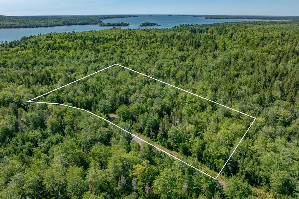 Lot #12 Merganser Drive Gouldsboro ME 04607