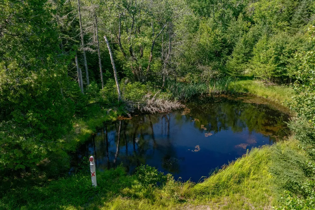 Lot #12 Merganser Drive Gouldsboro ME 04607