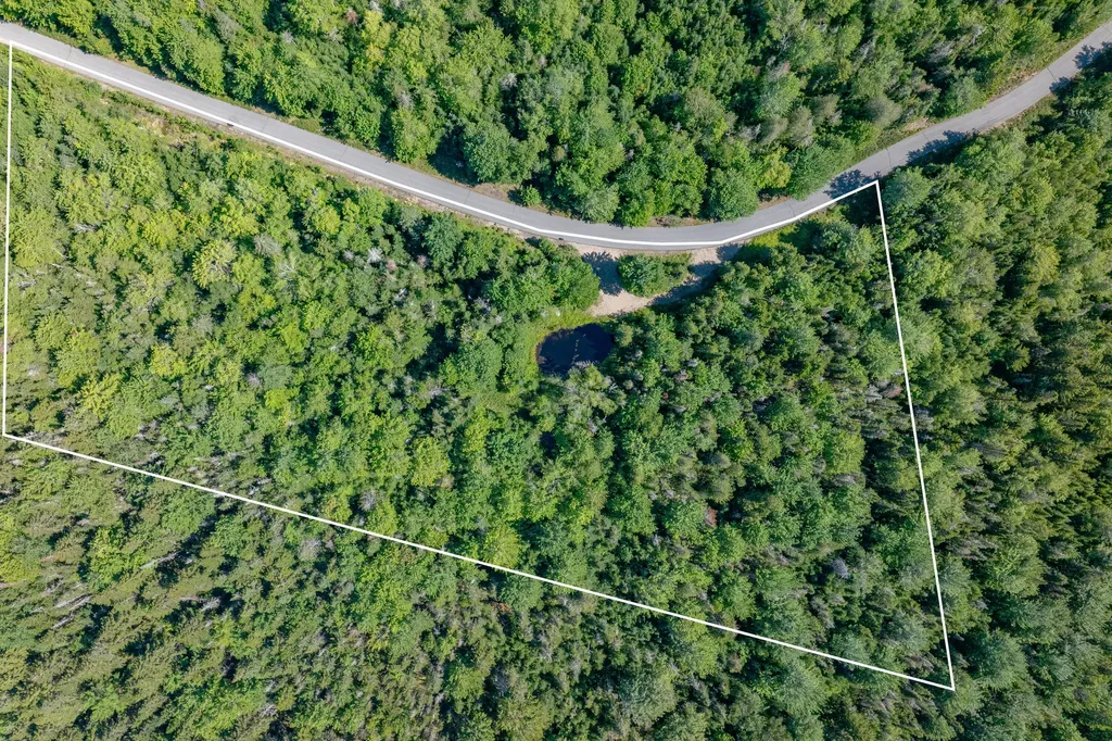 Lot #12 Merganser Drive Gouldsboro ME 04607