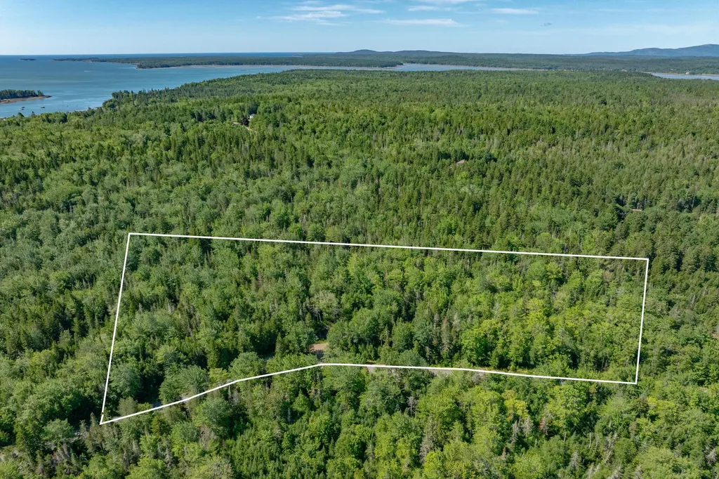 Lot #12 Merganser Drive Gouldsboro ME 04607