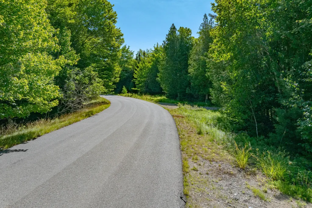 Lot #12 Merganser Drive Gouldsboro ME 04607