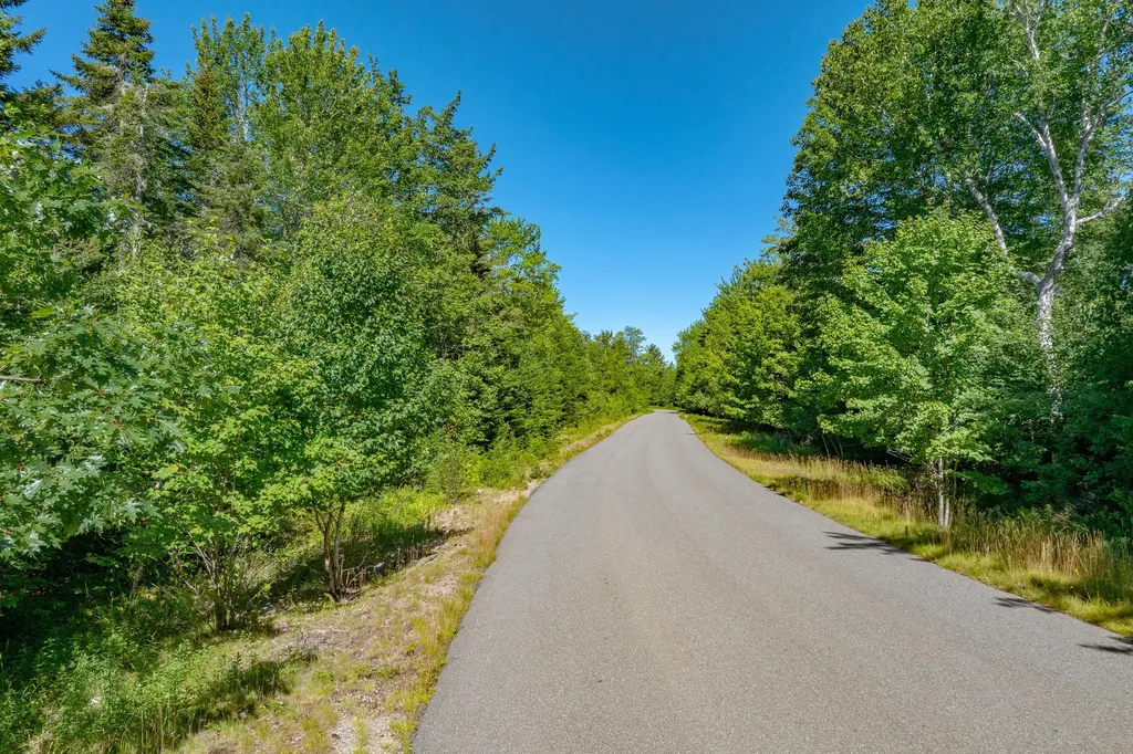 Lot #12 Merganser Drive Gouldsboro ME 04607