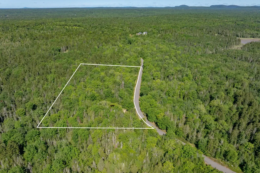 Lot #12 Merganser Drive Gouldsboro ME 04607