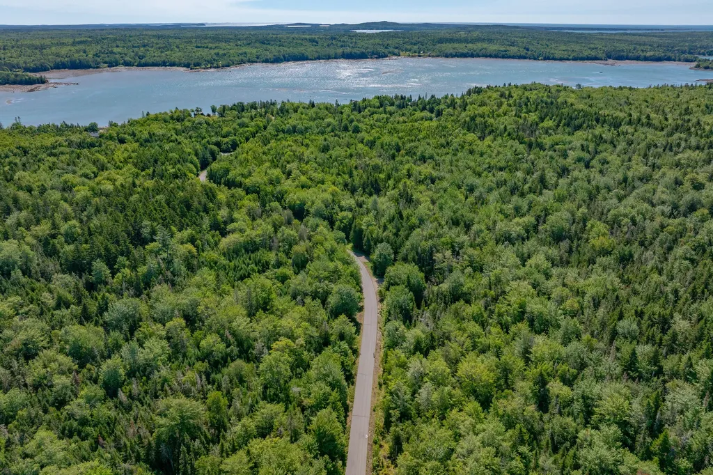 Lot #12 Merganser Drive Gouldsboro ME 04607