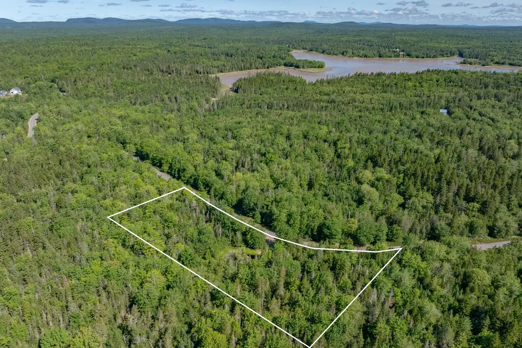 Lot #12 Merganser Drive Gouldsboro ME 04607