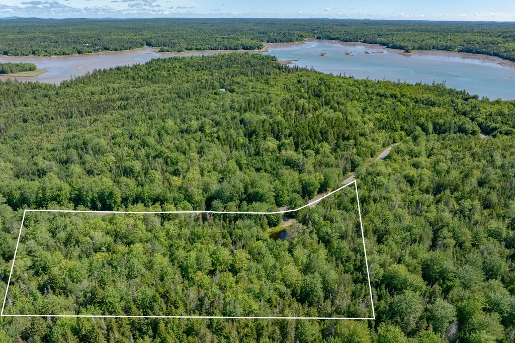 Lot #12 Merganser Drive Gouldsboro ME 04607