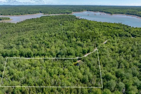 Lot #12 Merganser Drive Gouldsboro ME 04607