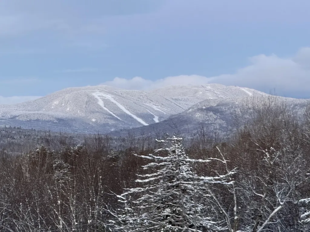 3 Moose Ridge Hanover ME 04237